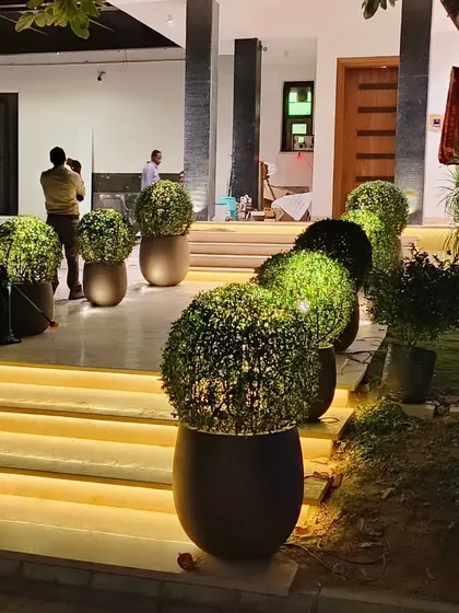 The same entrance topiaries seen at night, with strategic lighting that highlights their shape and creates a dramatic effect.