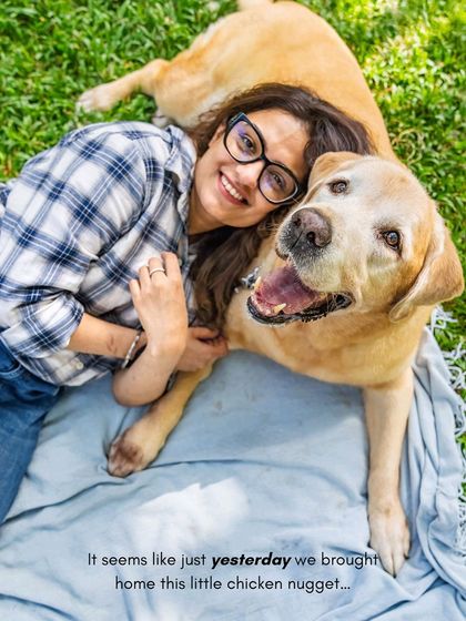 Pawparazzi By Prathima - Pet Milestone Photography Senior Tributes & Golden Years photo 45