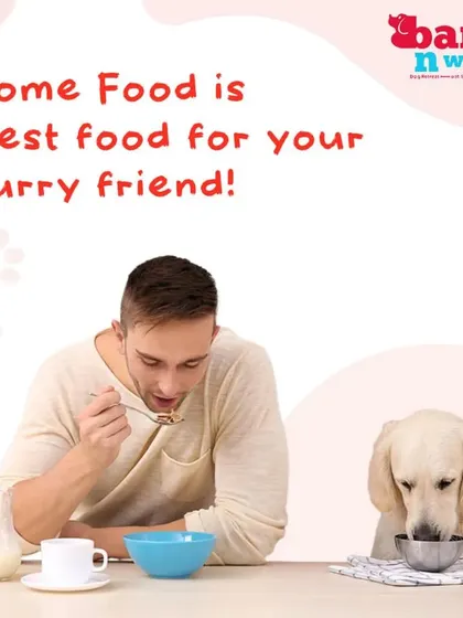 Home food is the best food for your furry friend. A balanced, home-cooked diet can improve their skin, coat, and energy levels. We provide healthy, home-style meals for our boarding guests.