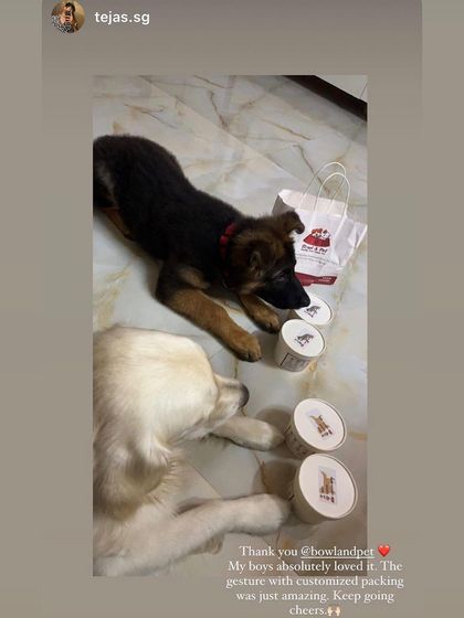 Bowl and Pet - Freshly Cooked Pet Meals Hear From Our Pack photo 5