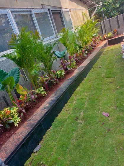 A row of carefully selected plants, including Areca palms and colorful crotons, in a modern black planter at the Lodha villa.