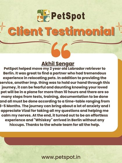 Words from Our Pack: Client Testimonials photo 3