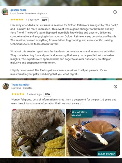 Nothing makes me happier than seeing pet parents feel more confident and connected with their dogs. Here are a couple of reviews from clients who attended my awareness sessions. Their success stories are what drive me to keep teaching and sharing my knowledge.