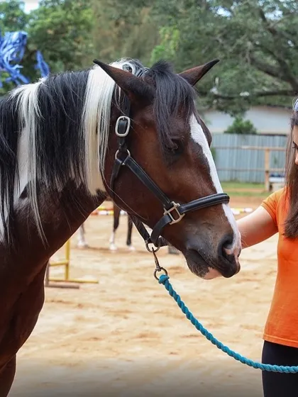 A participant connects with one of our beautiful paint horses during a leadership program. These quiet moments of interaction are often the most powerful part of the experience.