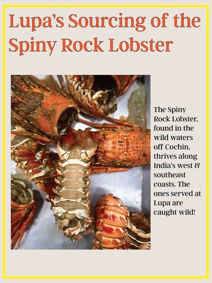 Lupa - European Fine Dining From Source to Plate: Our Commitment to Quality photo 10