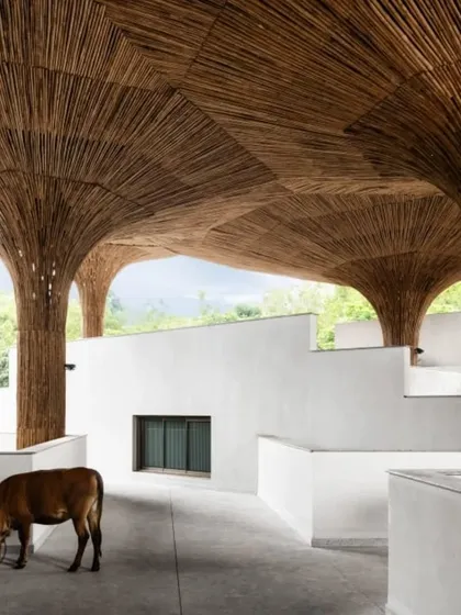 The interior of the TAPMI Centre is a vast, open space defined by the tree-like bamboo columns. The absence of walls in this shared area promotes a sense of community and open access for all.