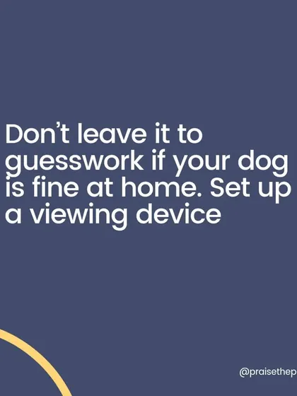 Don't leave it to guesswork. The first and most critical step in addressing separation anxiety is setting up a viewing device. This is the only way to know for sure what your dog is experiencing when you're gone.