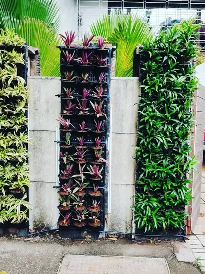 Three separate vertical garden panels installed on a residential compound wall. Each panel features a different type of plant, creating a clean, organized, and colorful display.