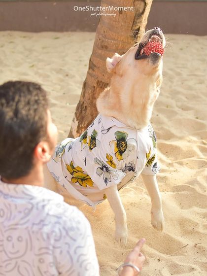 Priyanka - Family & Pet Photography Paws & Play photo 4