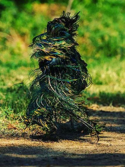 During the holy month of Sawan, we worship Lord Shiva. In this image, the shaking feathers of a peacock seen from the back look like a saint in meditation, with locks of hair on his head. To me, it looks like Lord Shiva himself, formed from the feathers of a peacock.