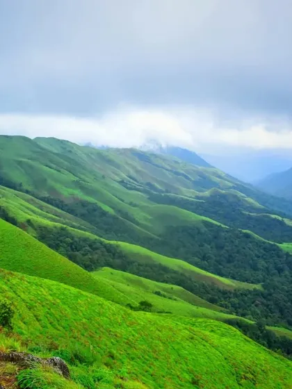 The vibrant green grasslands of Devaramane Betta, a stunning viewpoint we visit during our treks in the Chikmagalur region.