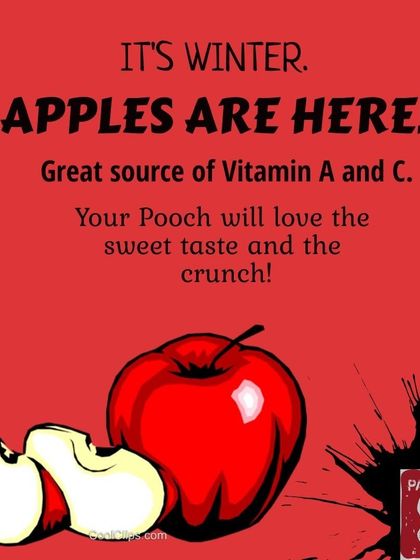 Pawtbelly - Fresh Dog Food Delivery Doggo Health & Nutrition Tips photo 11