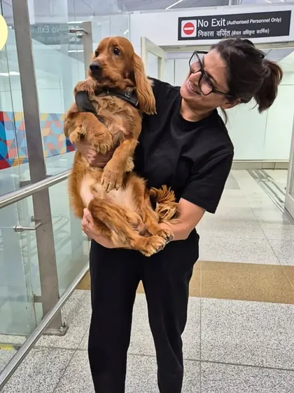 Here I am with Seymour, just before his big flight to London. Every pet I help is more than just a client; they become a part of my story. I personally oversee the details to ensure they feel safe and loved.