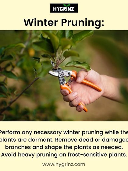 Hygrinz - Garden Maintenance Gardening Know-How: Tips & Techniques photo 13