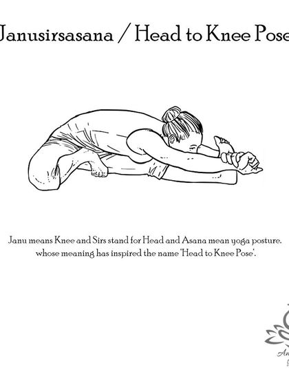 Anagha Yoga - Therapeutic Yoga Yoga Foundations: Asana Library photo 35