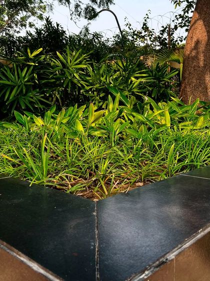 Luxury Villa & Farmhouse Estates photo 36