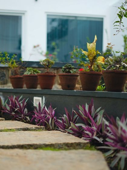 Design Details & Garden Care photo 12