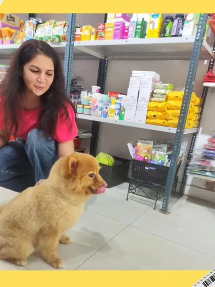 A quiet moment with a sweet Pomeranian mix in our pet shop area. We always take the time to get on their level and provide personal attention to help them settle in.