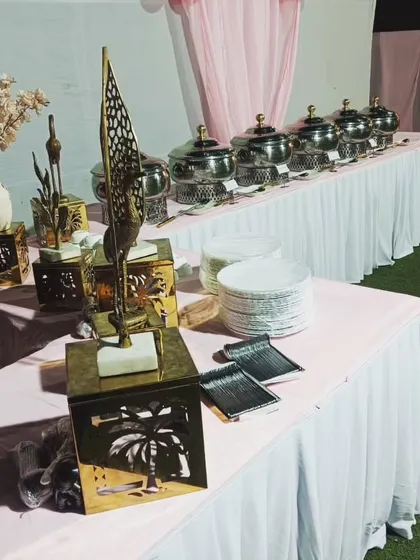 A beautiful pink and white themed buffet setup for 70 guests in Moti Bagh. The elegant decor pieces add a touch of sophistication to the outdoor setting.