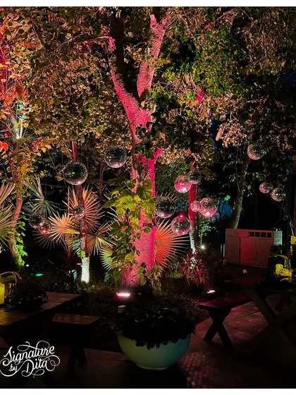 A duplicate of image 39, showing the magical effect of hanging disco balls and colorful uplighting in the trees at our "Neon Jungle" event.