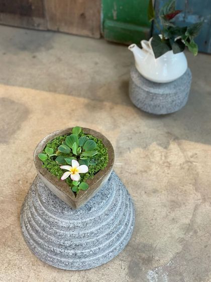 Greenhouse - Living Botanical Art & Arrangements Artisan Planters & Decor photo 11