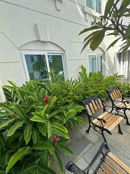 Residential Sanctuaries photo 24