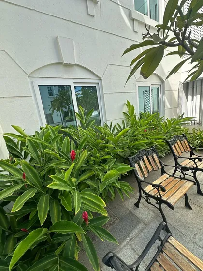 A quiet seating area in an apartment complex we maintain, surrounded by flowering ginger plants. It's a perfect example of how we turn common areas into lush, peaceful playgrounds.