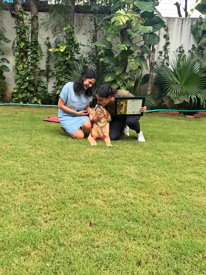 A sweet graduation moment. This pup is ready to go home with a new set of skills and a calmer mindset.