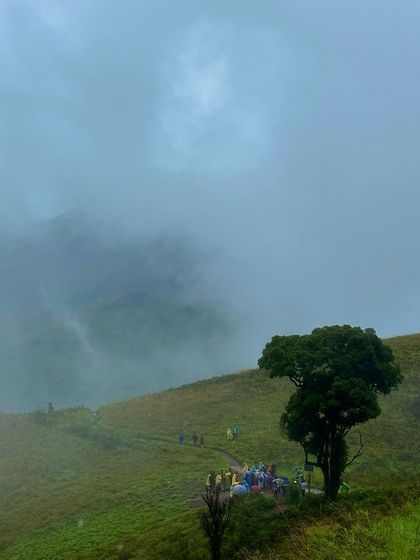 A group of trekkers resting under the lonely tree, a welcome break spot on the Kudremukha trail.