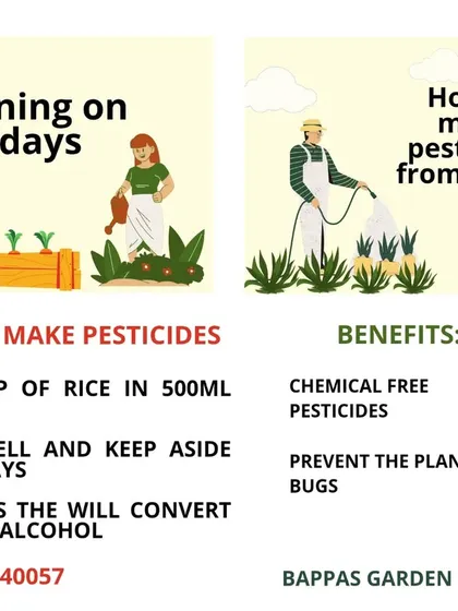 We believe in safe and organic solutions. Here is a simple, homemade pesticide recipe you can use to protect your plants from common pests like mealy bugs without using harsh chemicals.