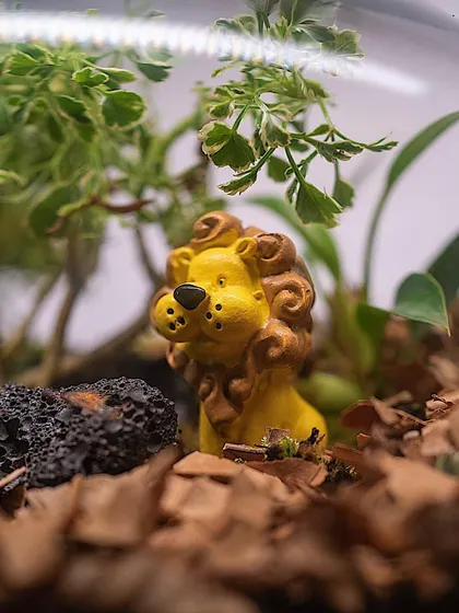 A close-up of the adorable lion miniature in my baby announcement terrarium. These custom details make for truly special and memorable handmade gifts.