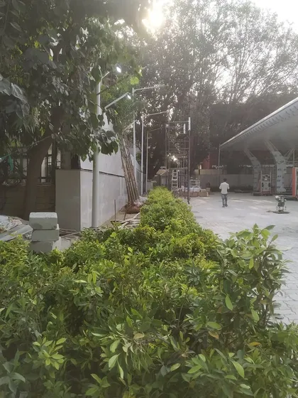 Our team working on a landscaping project at a commercial site, with new hedges being planted along a paved area.