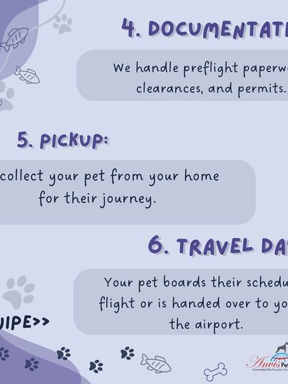 Anvis - Pet Relocation Our Relocation Process: Step-by-Step photo 4