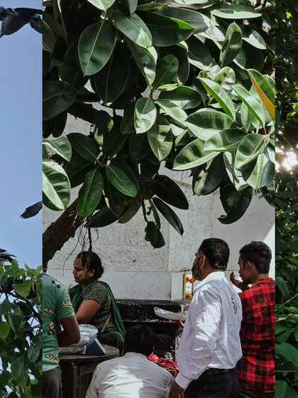 A group of people sitting in the shade of a large tree, a moment of respite from the sun.