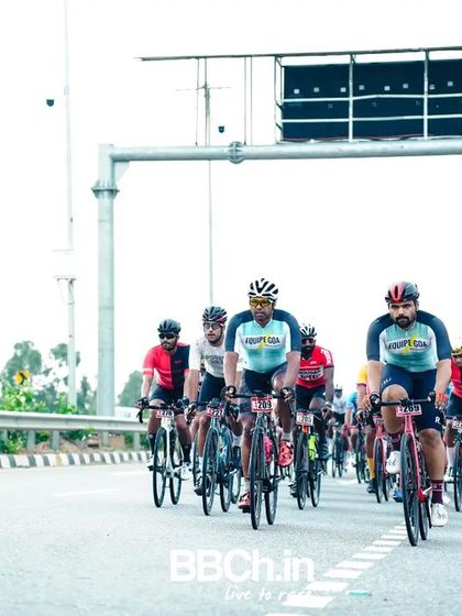 The peloton, a colorful and dynamic sight, races down the highway.