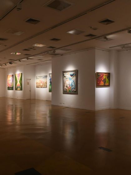 Solo Exhibitions & Gallery Shows photo 6