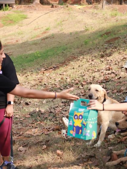 Prize distribution is always a fun time. We love celebrating the progress and enthusiasm of our campers with goodies and treats.