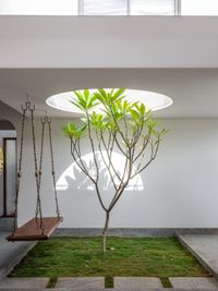 Interior Design & Renovation