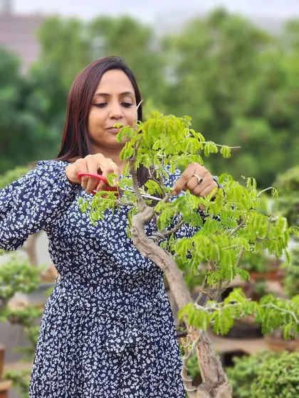 Here I am, finding a moment of quiet joy while pruning. This is the heart of my process; it is a slow, meditative art where every snip is a step toward revealing the tree's natural balance and beauty.