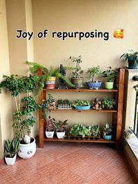 Garden Renovation & Enhancement