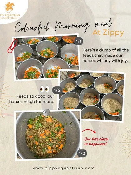 A horse's day starts with a balanced, colorful meal. We design customized nutrition plans, using fresh ingredients like carrots and wholesome grains, to ensure every horse gets exactly what they need for their health and energy levels. This is not just feed; it's fuel for a happy life.
