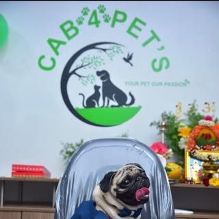 Cab4pets