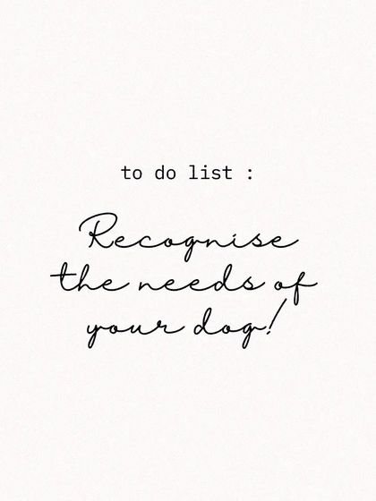 Aditi - In-Home Pet Sitting My Approach to Pet Sitting photo 3