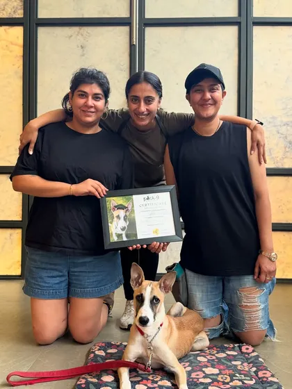 A beautiful family portrait on graduation day. This pup is now equipped with the manners to be a well-behaved family member.