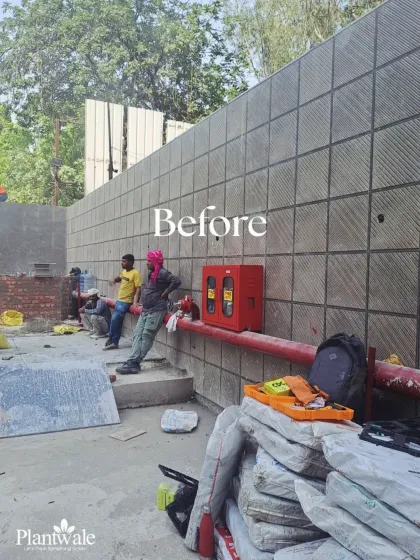 Before: Another view of the bare wall during the initial site preparation phase. Our team is getting ready to begin the installation.