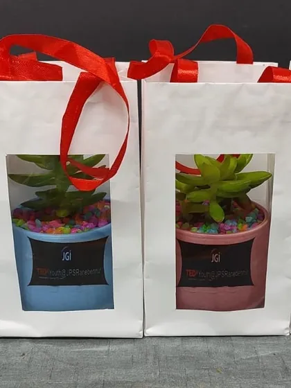 Packaged and ready for a TEDx event with JGI, these succulent gifts feature branded pots and are presented in our signature windowed gift bags with red ribbon handles.