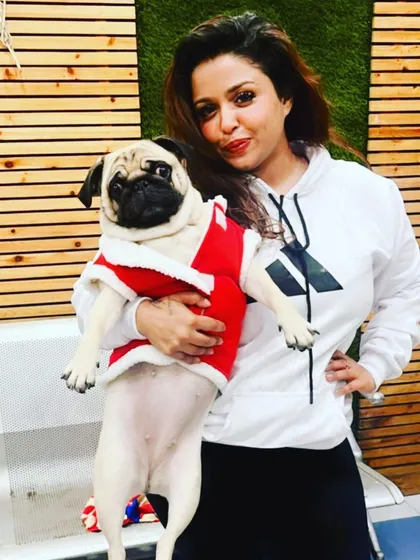Getting into the festive spirit with this little Santa. I love dressing up my furry guests for special occasions. This Pug is looking absolutely adorable in his Christmas outfit.