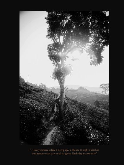 Orange Wedding Cinemas - Wedding Photography & Cinematography Pre-Wedding Stories: Love in Every Landscape photo 207