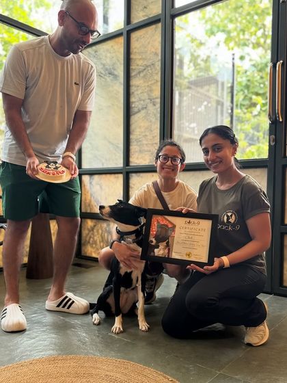 Another happy graduation day! This is why I do what I do, seeing the joy and renewed connection between dogs and their guardians.