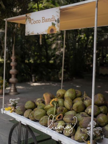 A full view of the coconut cart, a simple yet thoughtful detail that enhances the guest experience.